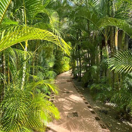 Chalet Tropical Au Coeur De 라스테레나스 외부 사진