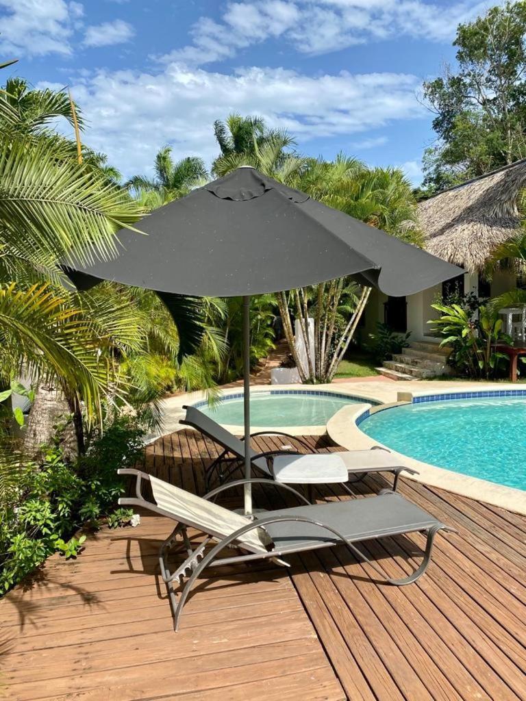 Chalet Tropical Au Coeur De 라스테레나스 외부 사진